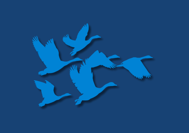 The Quest for Longevity: What Can We Learn From Family Businesses About Long-Term Survival?