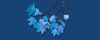 Is Warren Buffett Wrong?