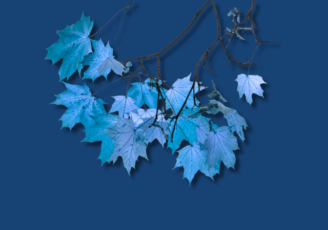 Is Warren Buffett Wrong?